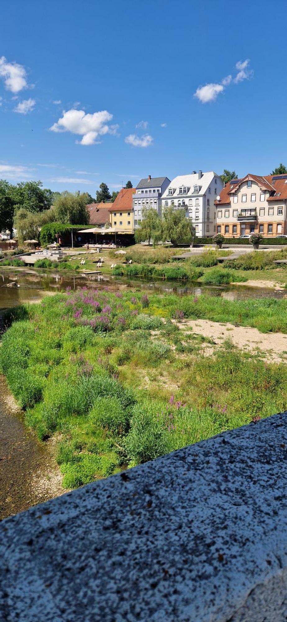 Ferienwohnung Am Donauradweg Tuttlingen Exterior foto