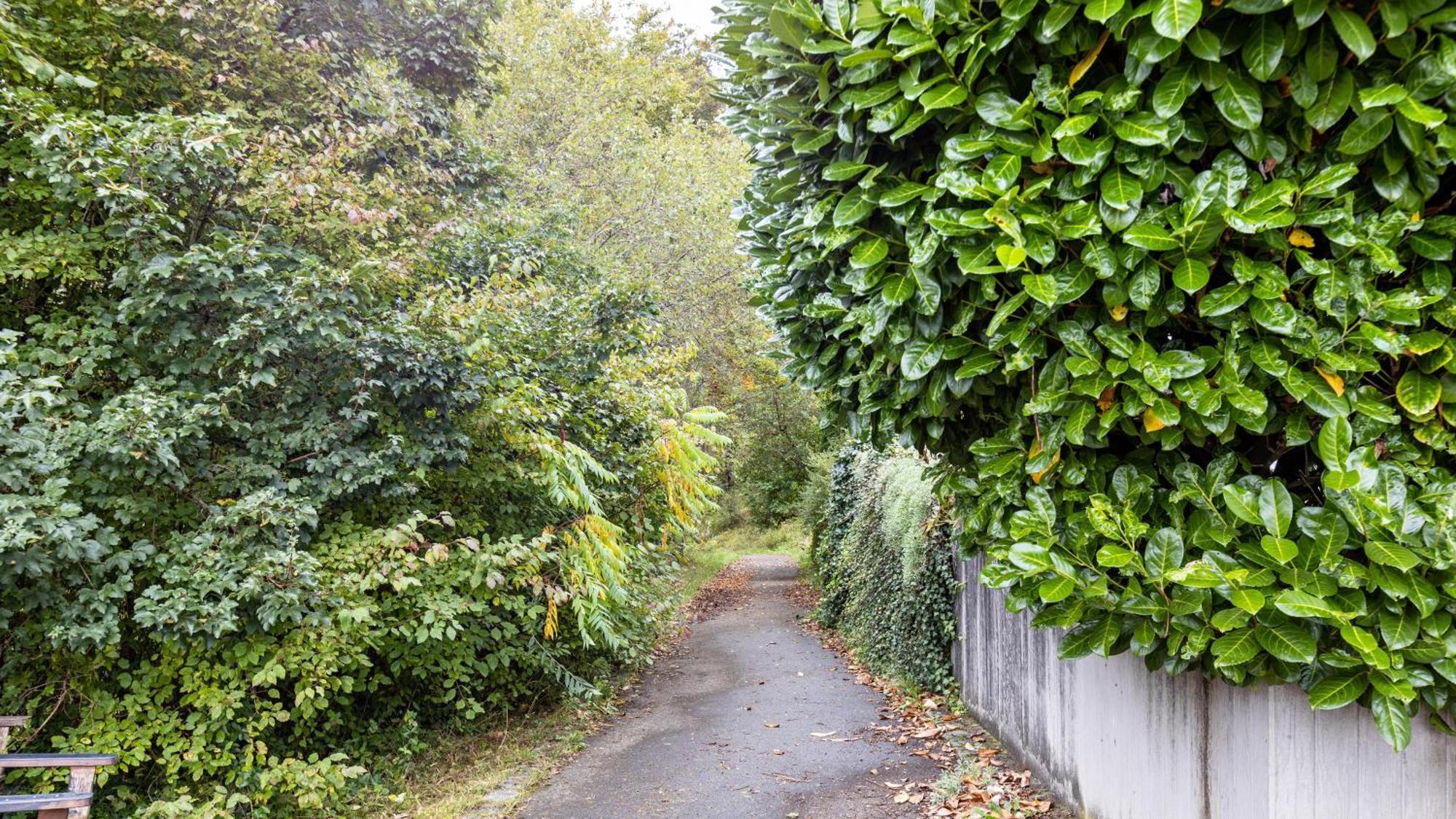 Ferienwohnung Am Donauradweg Tuttlingen Exterior foto